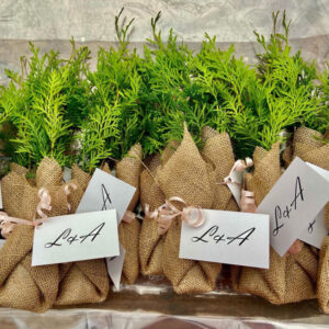 l-a Pineneedlefarms promotional seedlings 2022