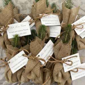 let-love-grow Pineneedlefarms promotional seedlings 2022